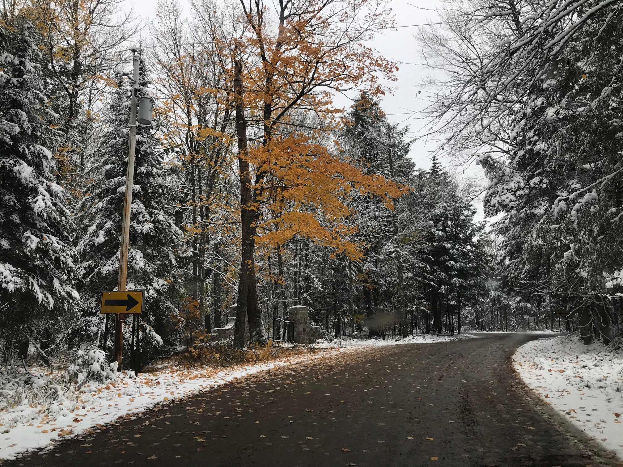 Midwest: October Snow – Yellow Stripes & Dead Armadillos